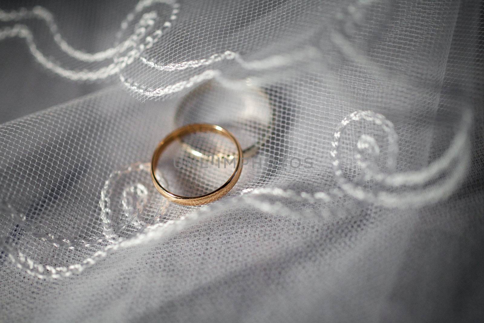 wedding rings by vsurkov