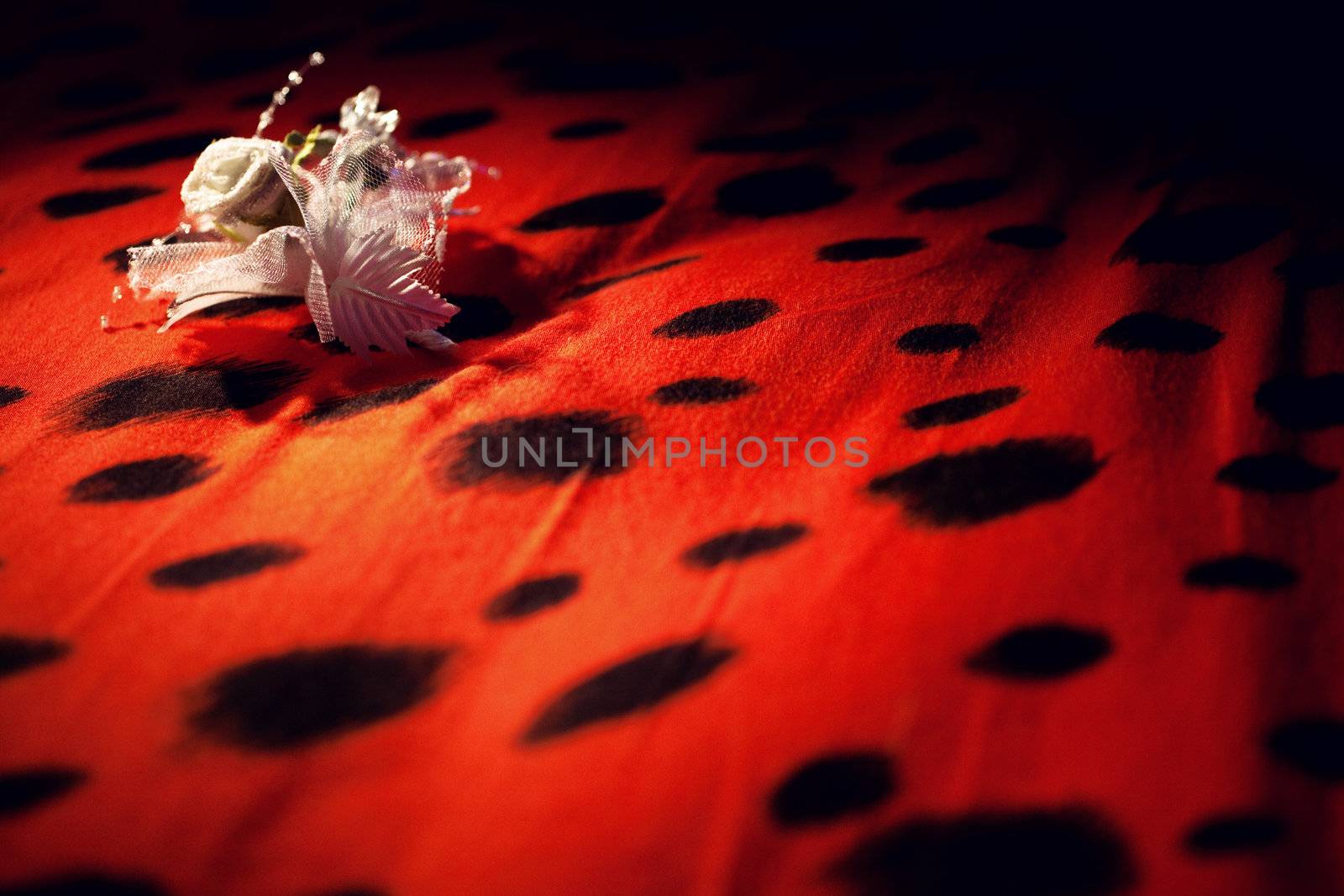 buttonhole-flower on the red cover