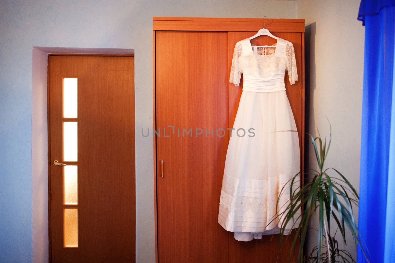 wedding dress by vsurkov