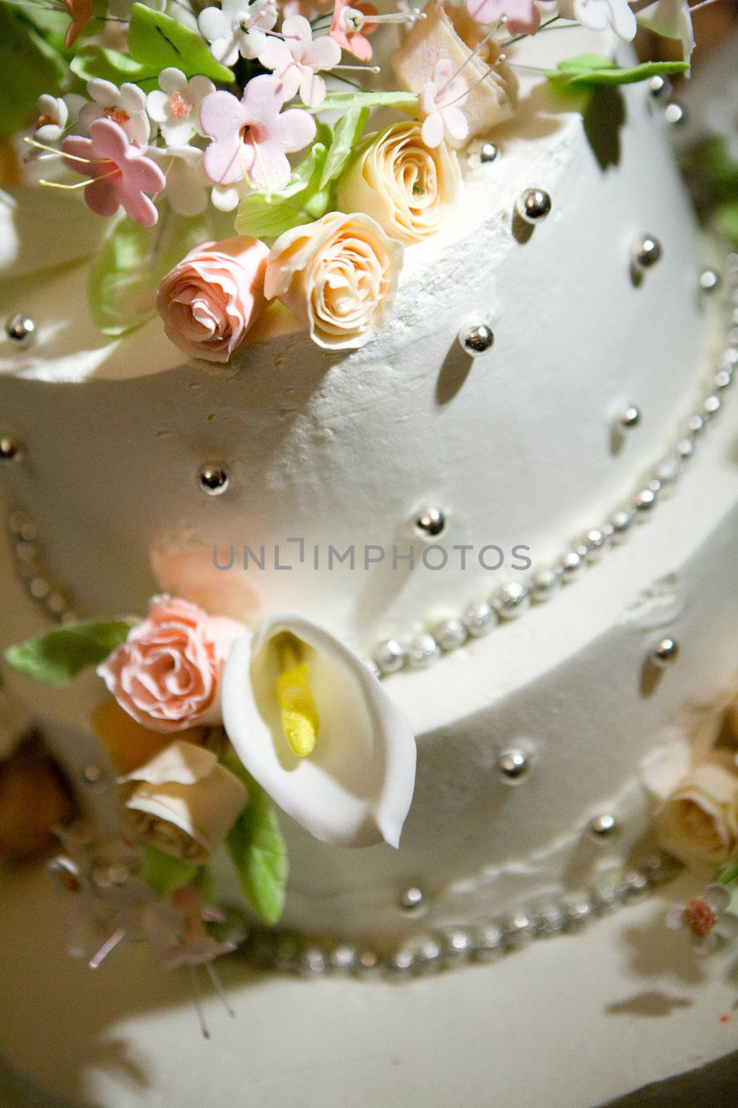 cake of bride and groom