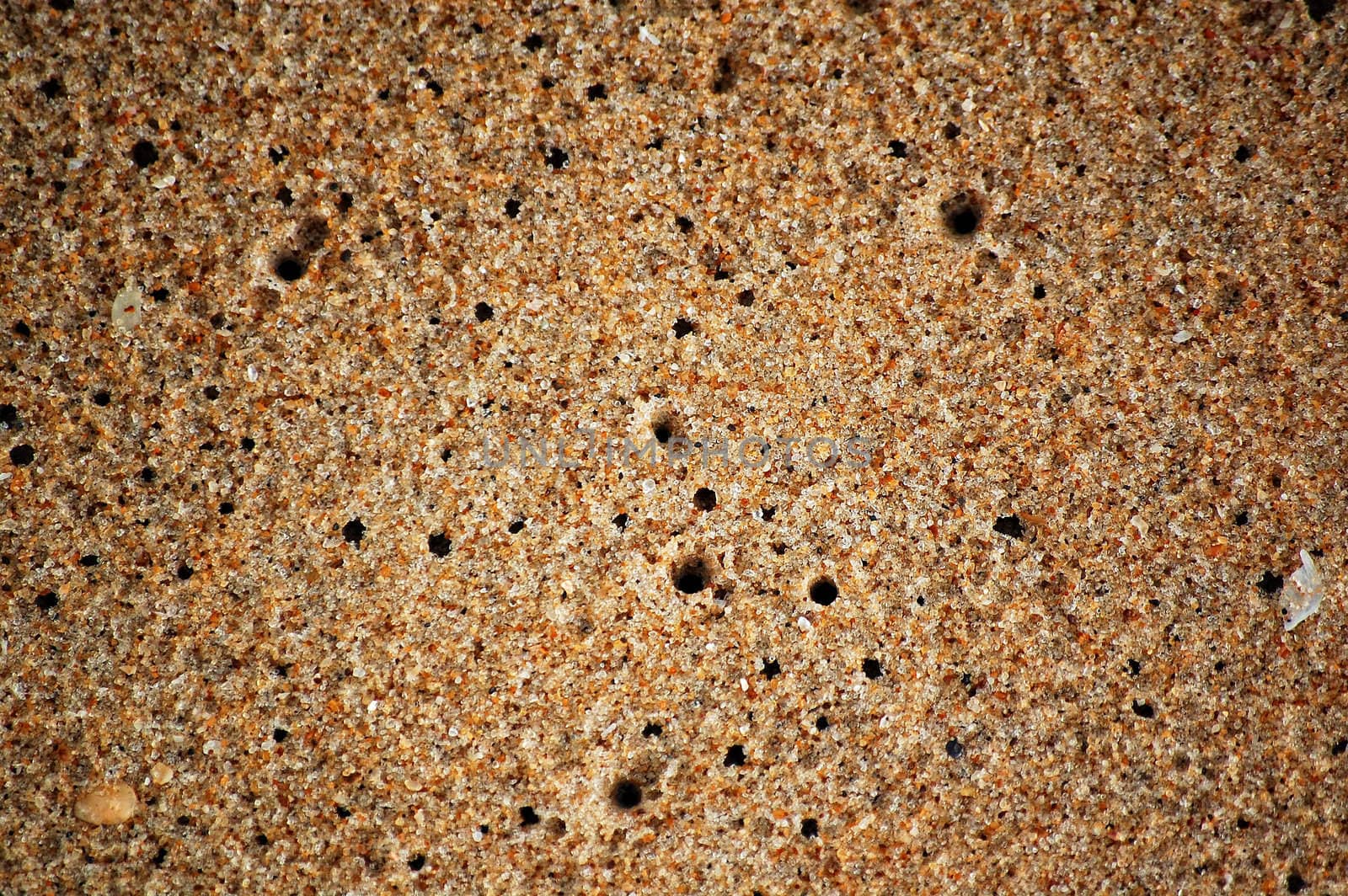 Texture of wet sand