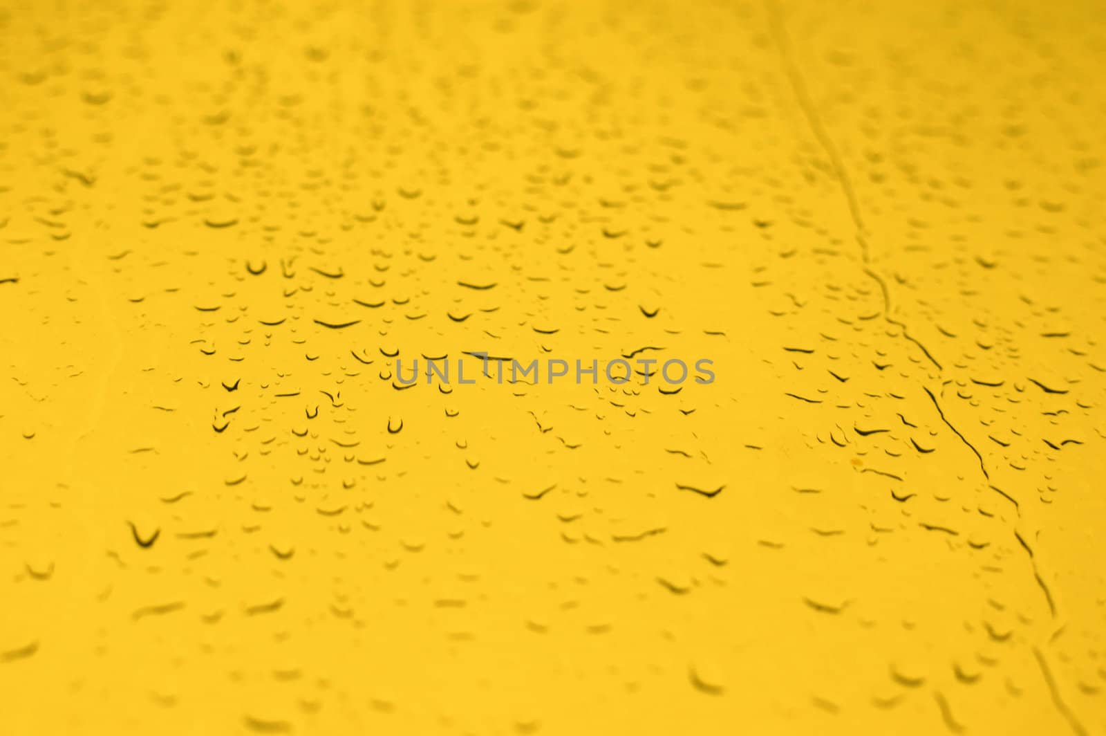 A Beer Yellow water drops  background with an area in focus