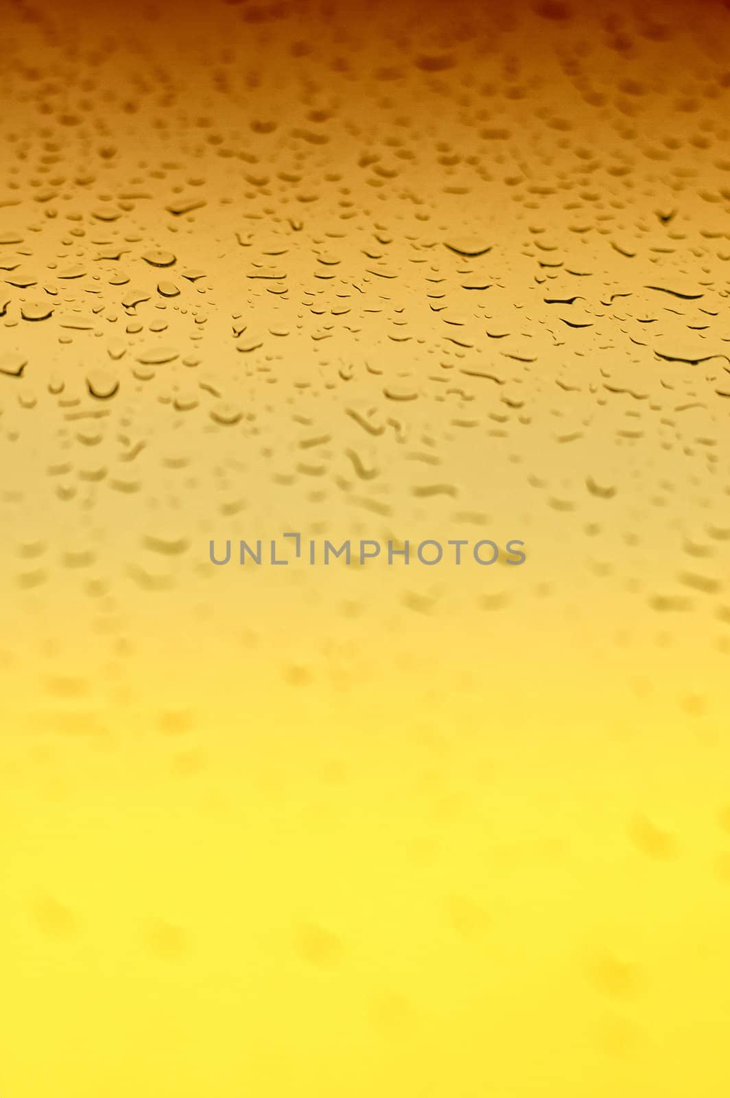 A Yellow gradient water drops  background with an area in focus