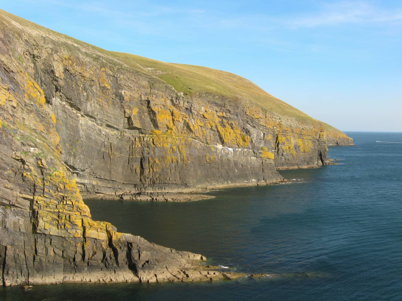 Cliffs of Cilan Head, Lleyn Peninsular, Wales, UK.