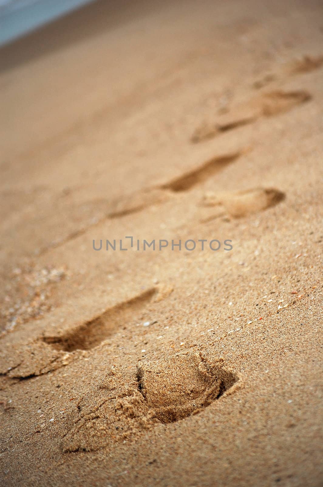 Footsteps in the sand by nihues