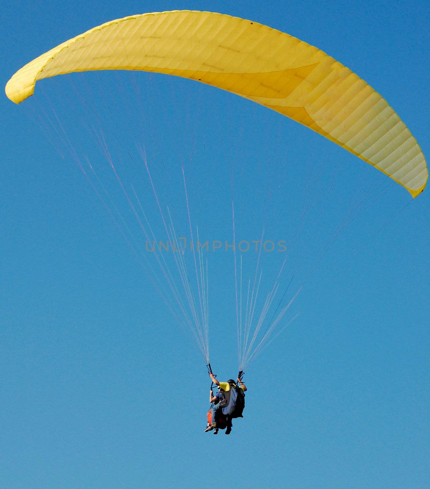Double Paragliding through a blue sky