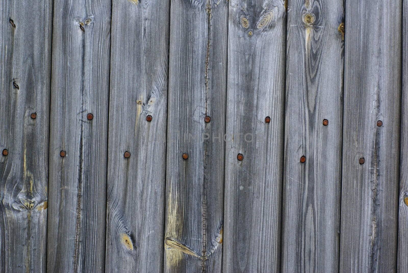 Old wood background with rusty nails.