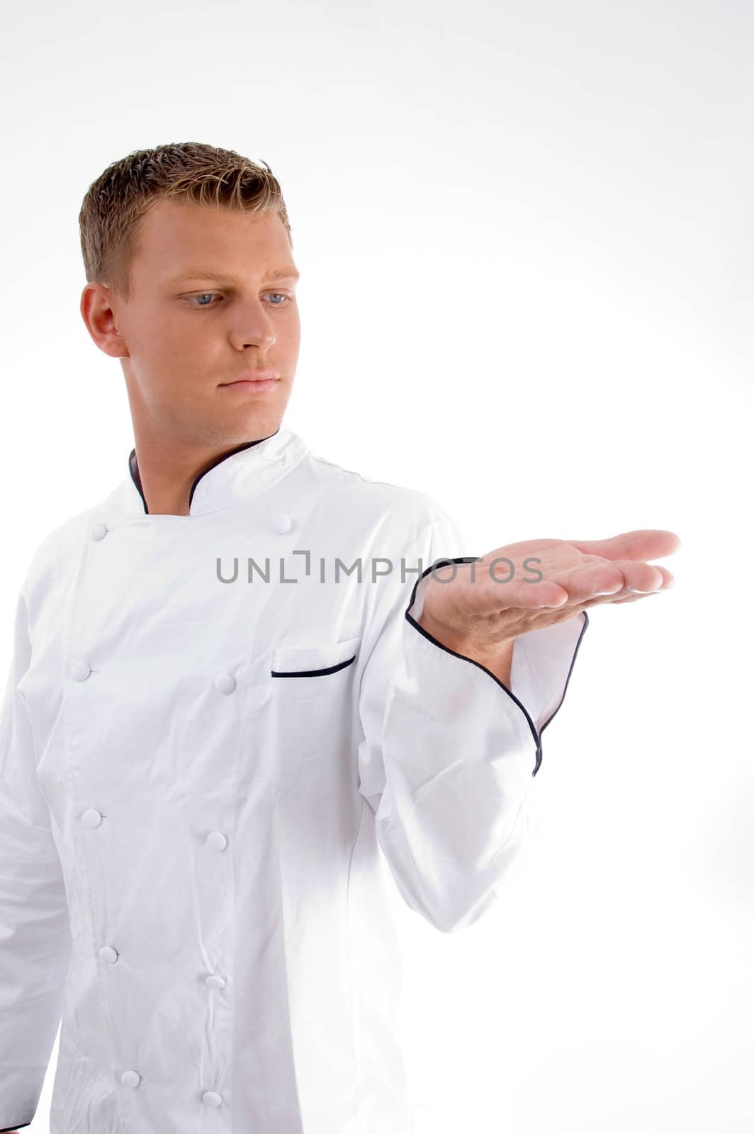 standing chef looking his palm with white background