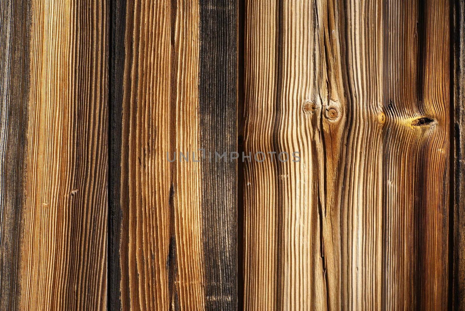 Interesting wood background.