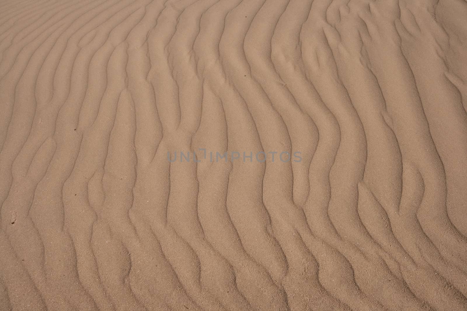 Ripple and line textures of sand.