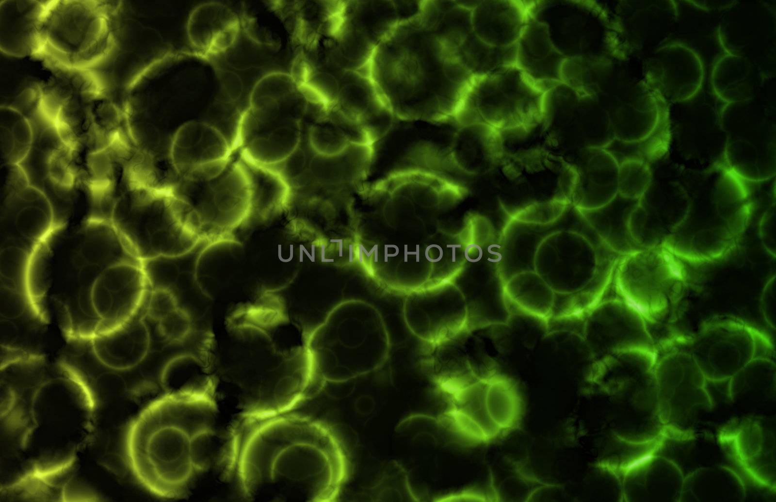 Microscopic Cell Organisms as an Abstract Art