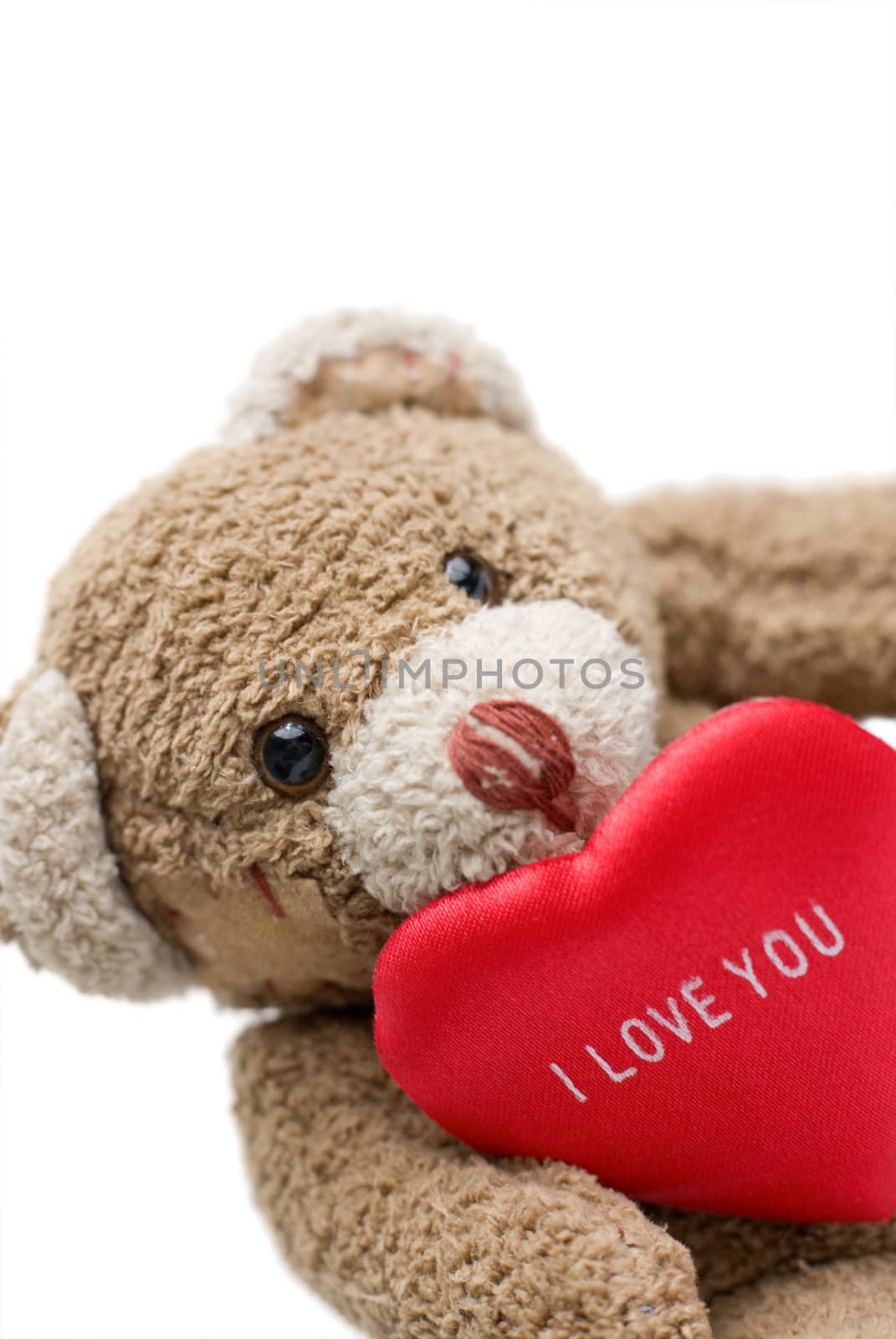 Teddy bear holding red heart - selective focus on the eye and on 'I love you" inscription.