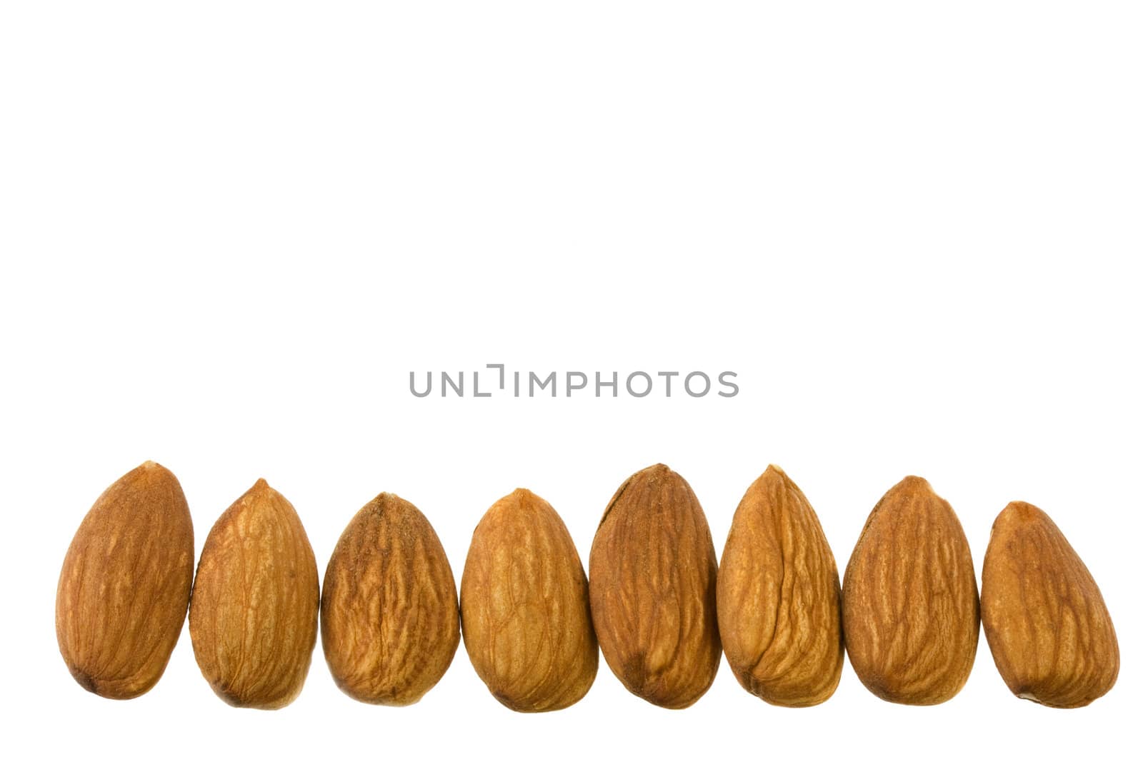 a row of shelled almond nuts isolated on white