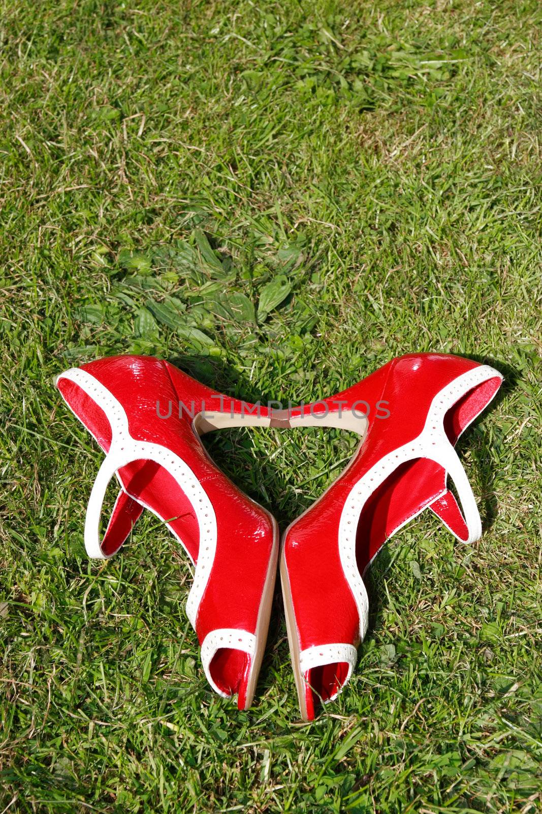 a pair of red high heels on a grass lawn in a heart shape depicting womans love of shoes