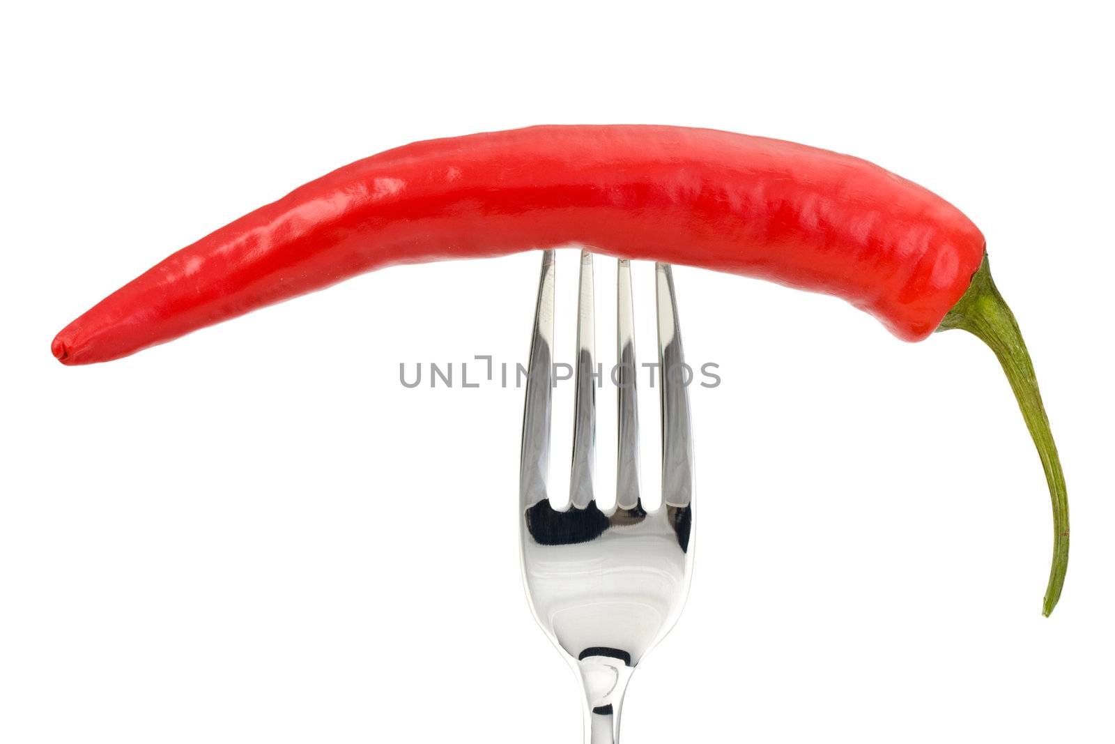 red pepper on a fork isolated on a white background by bernjuer