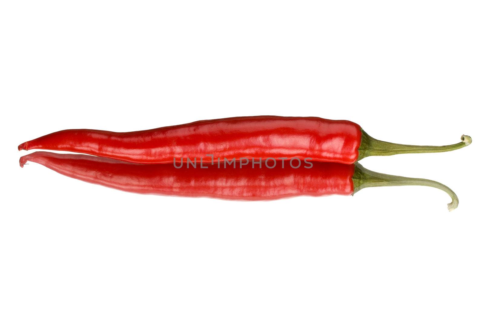 single red pepper on a mirror isolated on a white background by bernjuer
