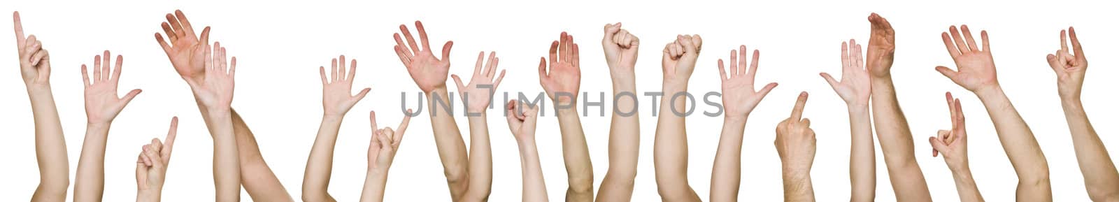 Lots of raised hands isolated on white background