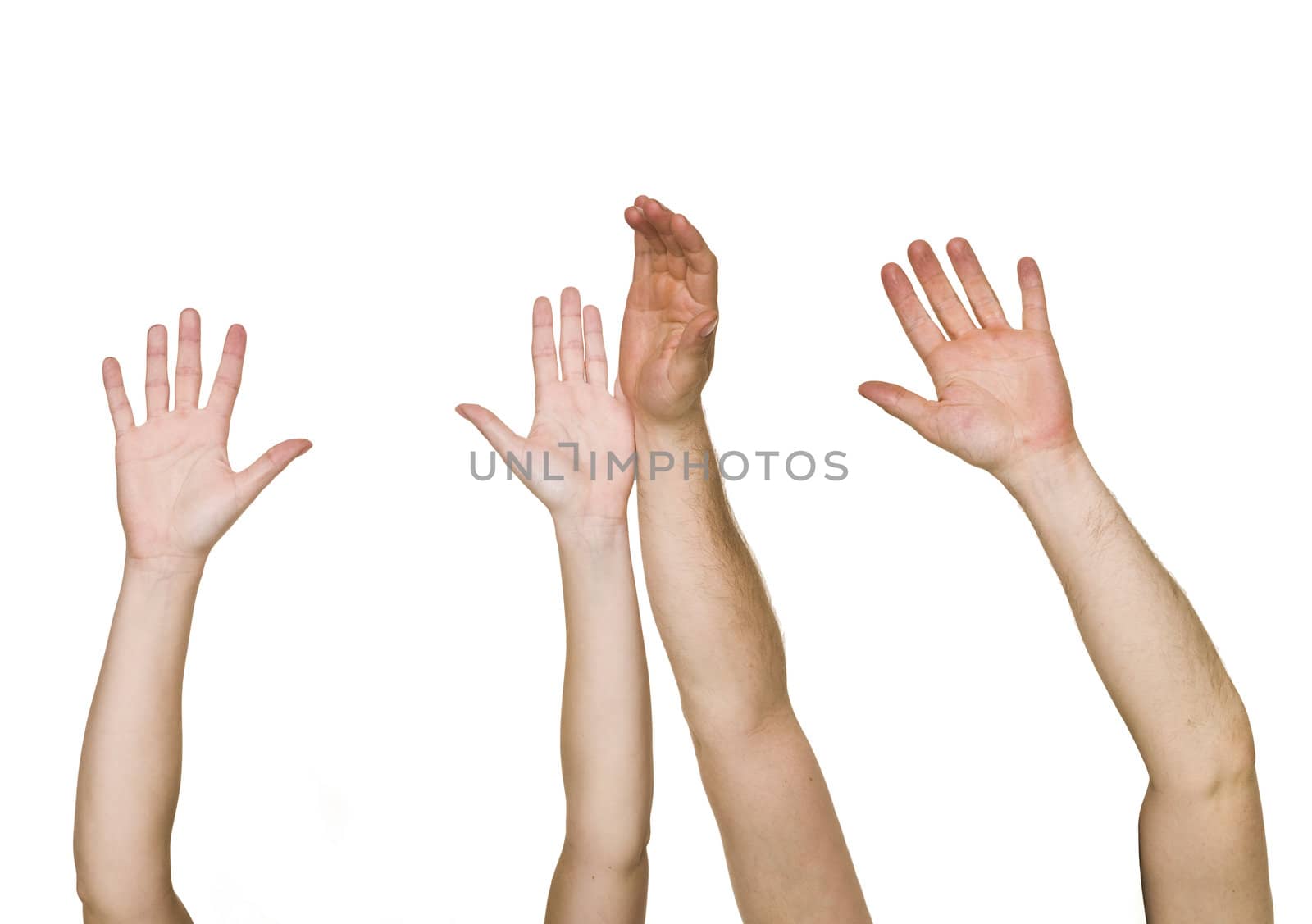 Raised Hands isolated on white background