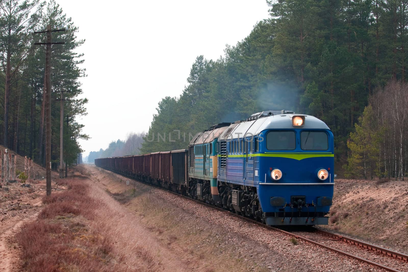 Freight train hauled by two diesel locomotives passing the forest
