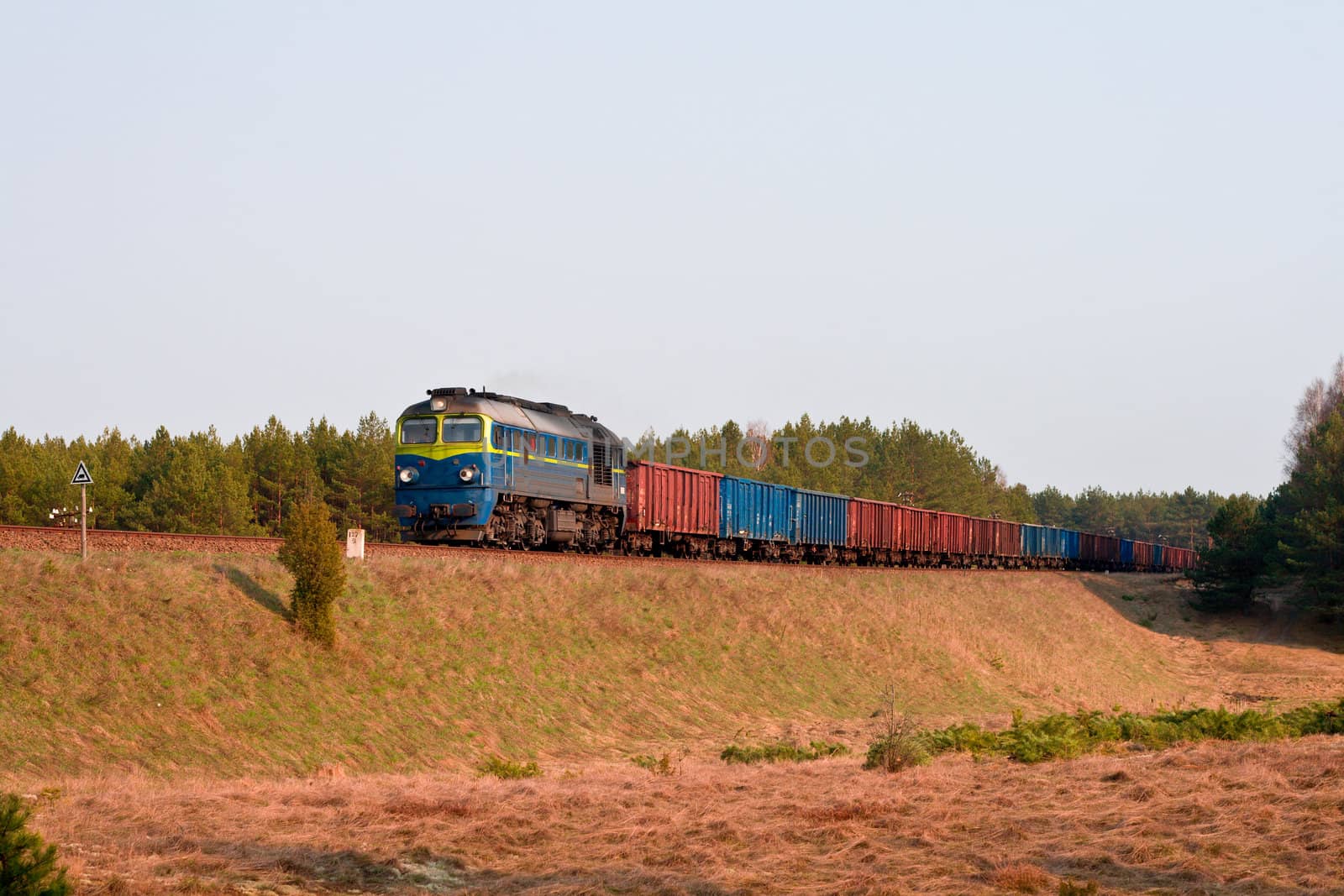 Freight train hauled by two diesel locomotives passing the forest
