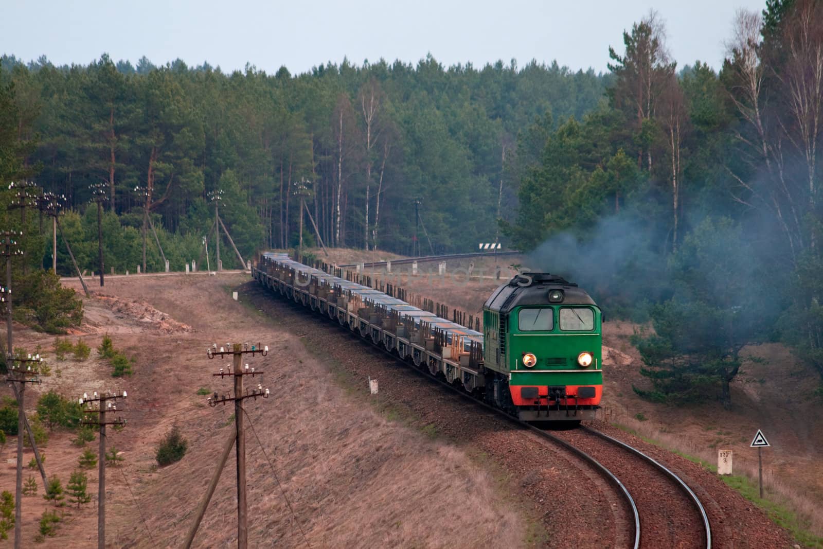 Freight train hauled by the diesel locomotive passing the forest
