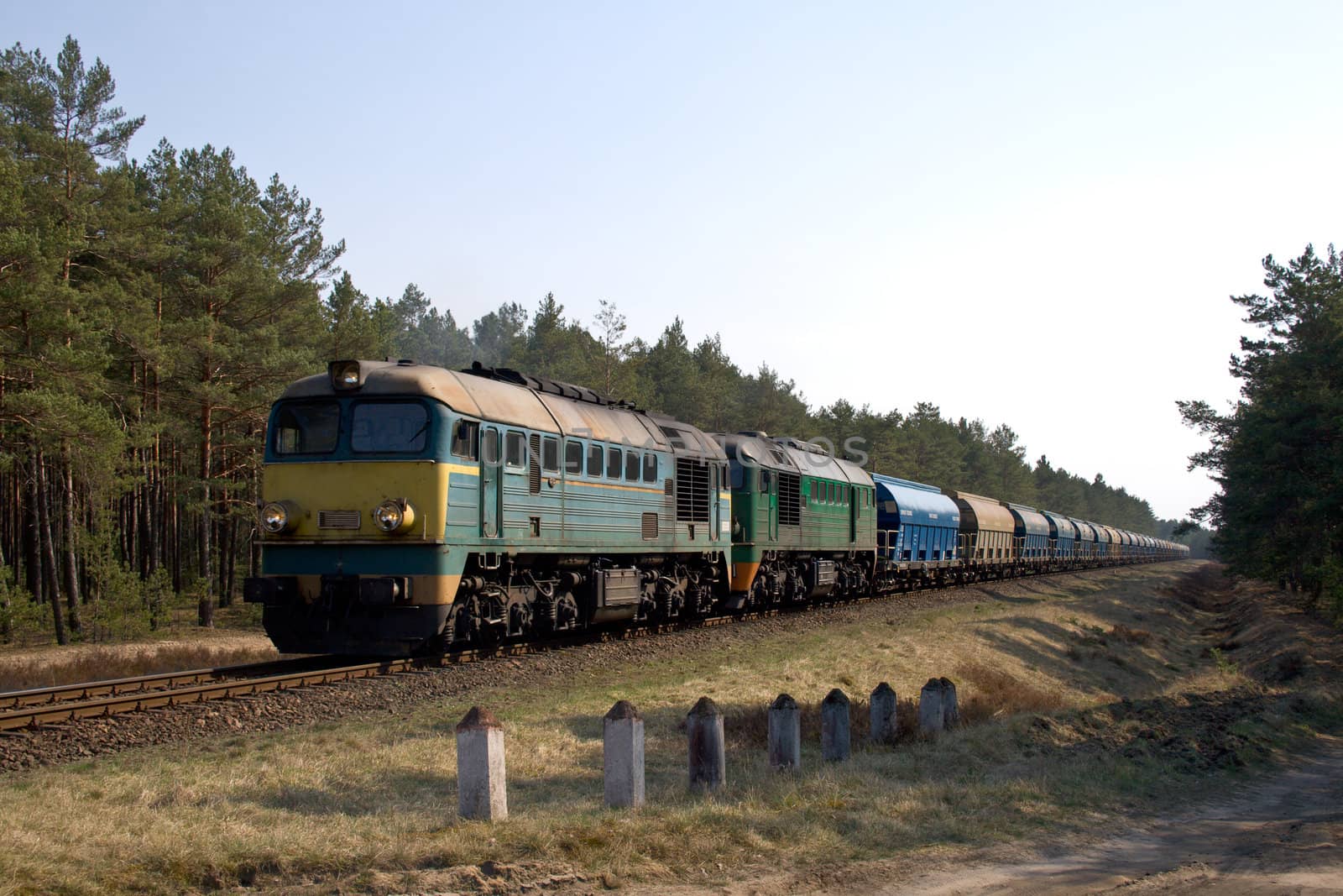 Freight train hauled by two diesel locomotives passing the forest
