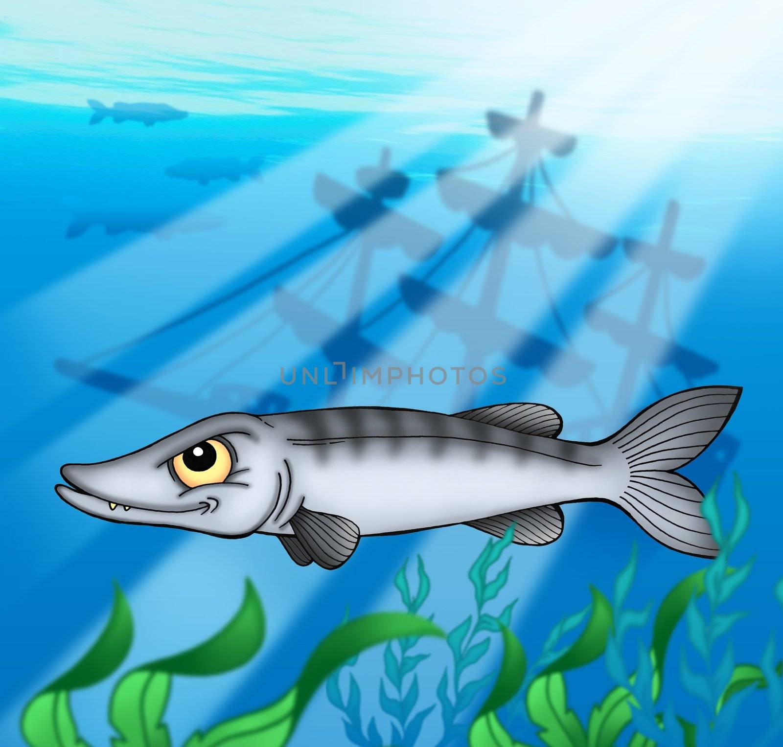 Barracuda with shipwreck - color illustration.