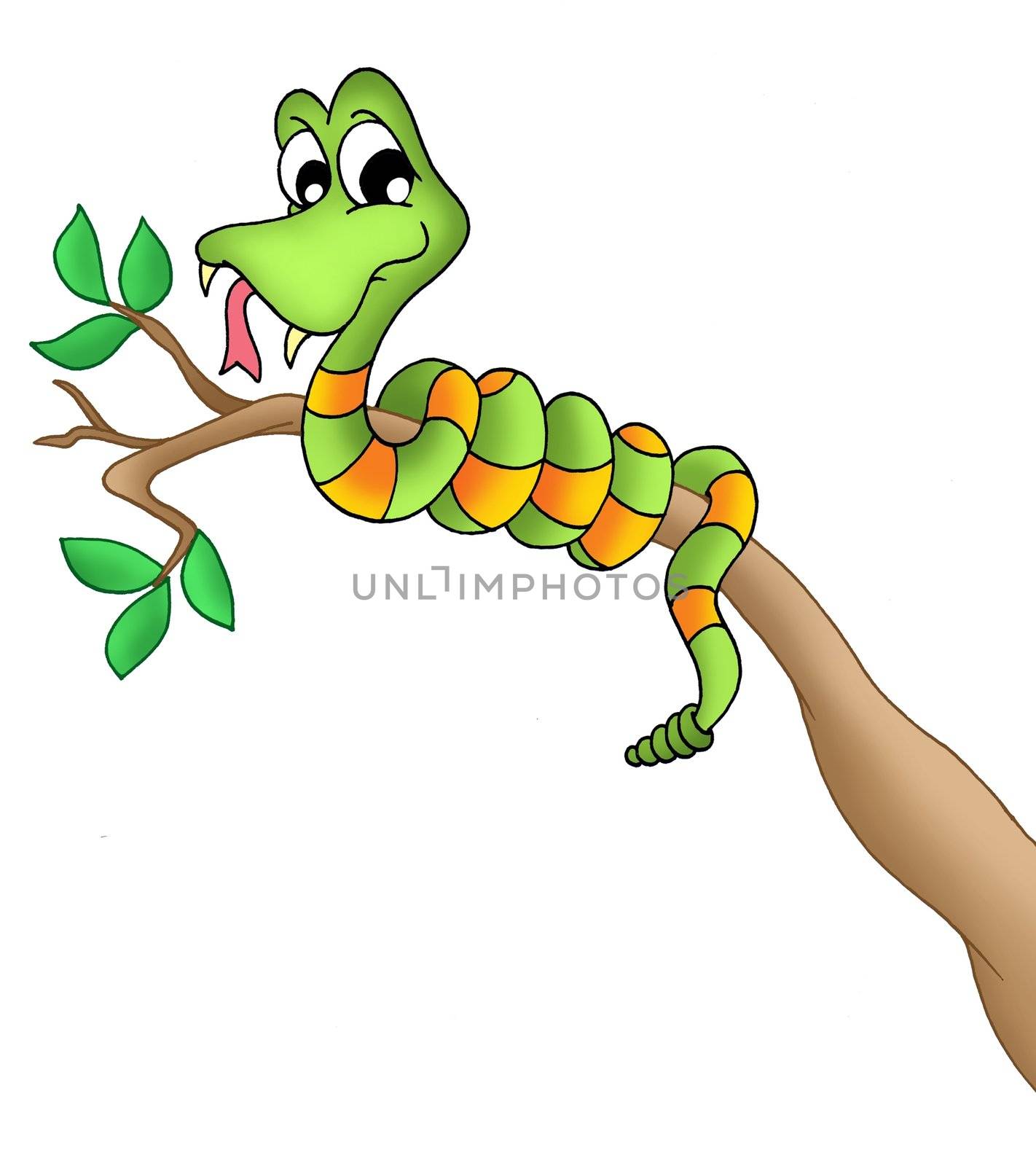 Snake on branch - color illustration.