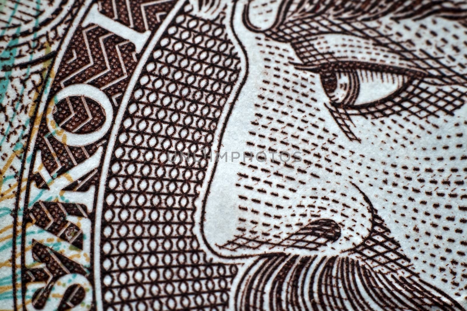 Macro close-up of polish zloty banknote
