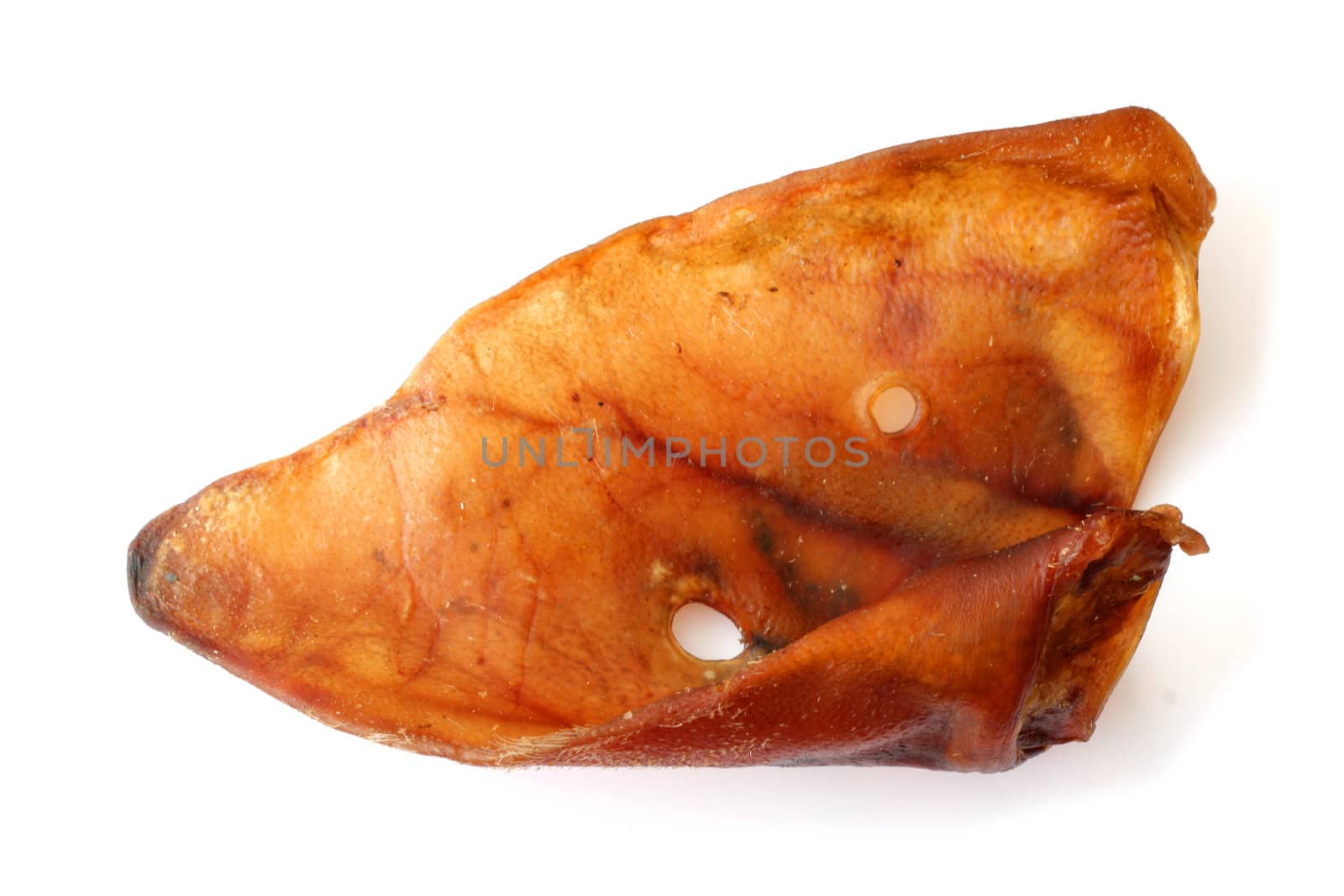 Smoked pig ear for a dog isolated on white background
