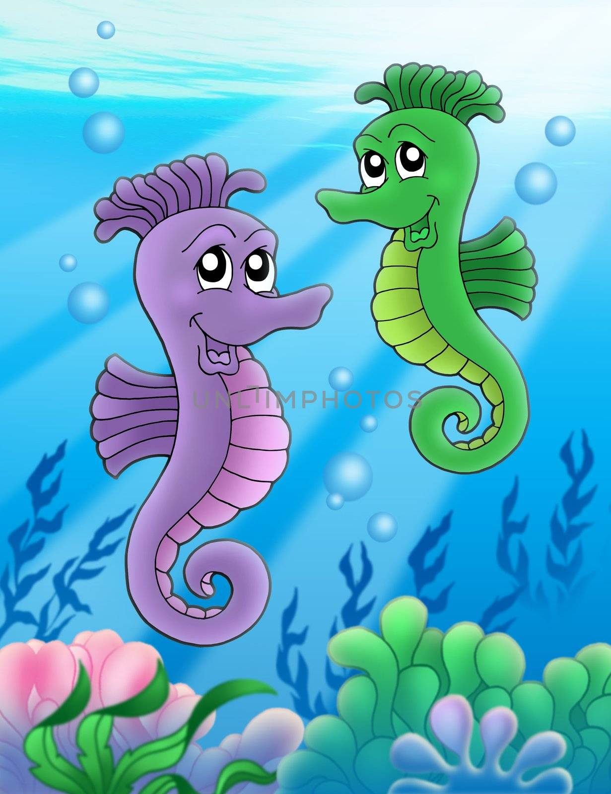 Pair of sea horses by clairev