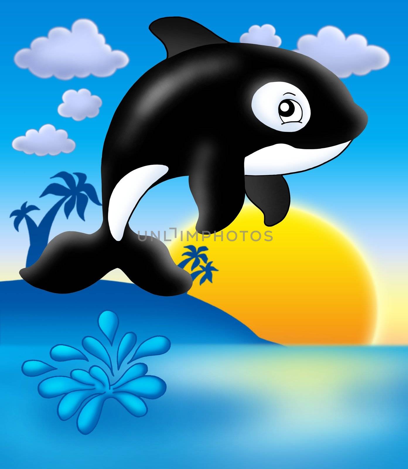 Killer whale with sunset - color illustration.