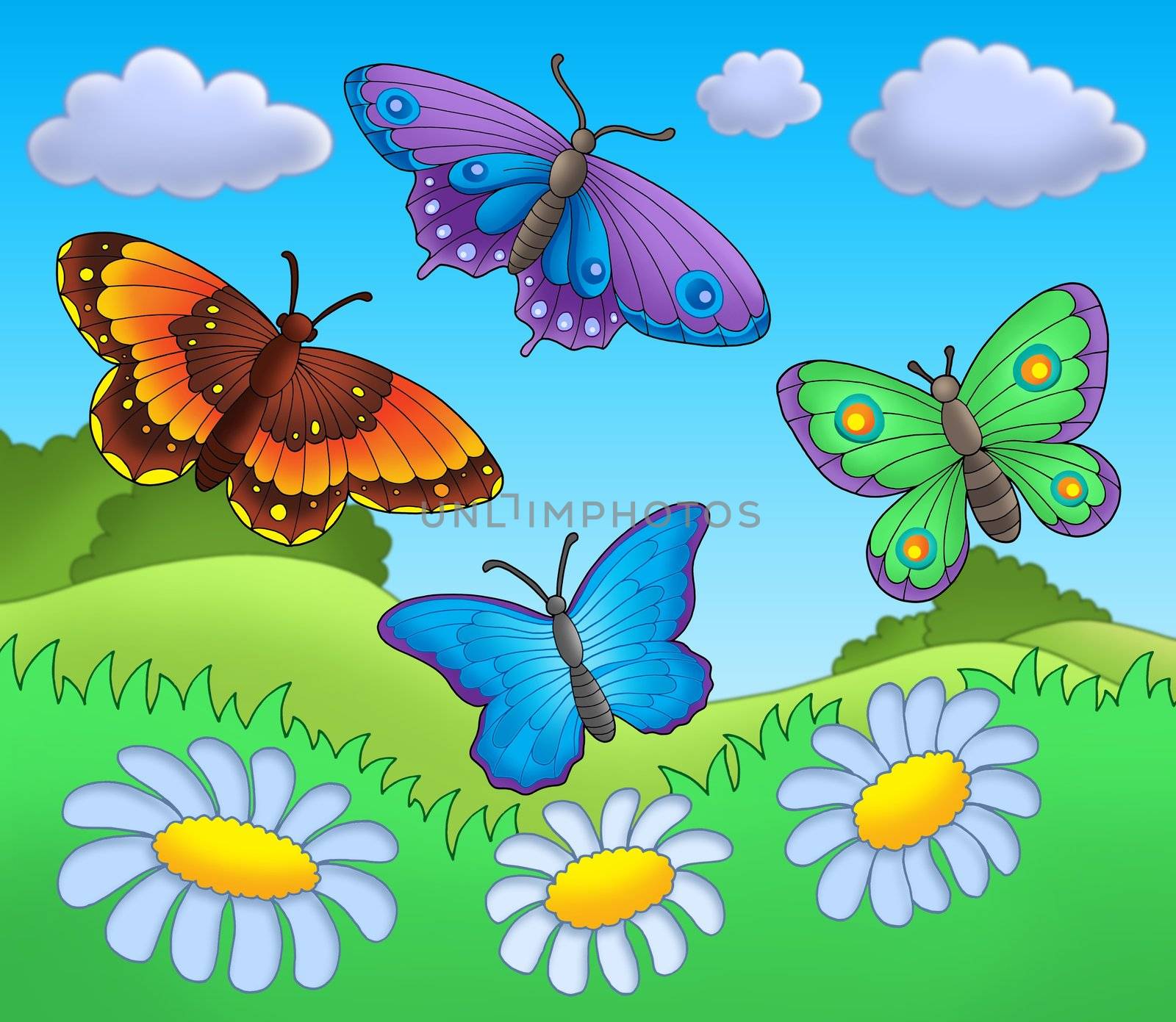 Butterflies on meadow - color illustration.