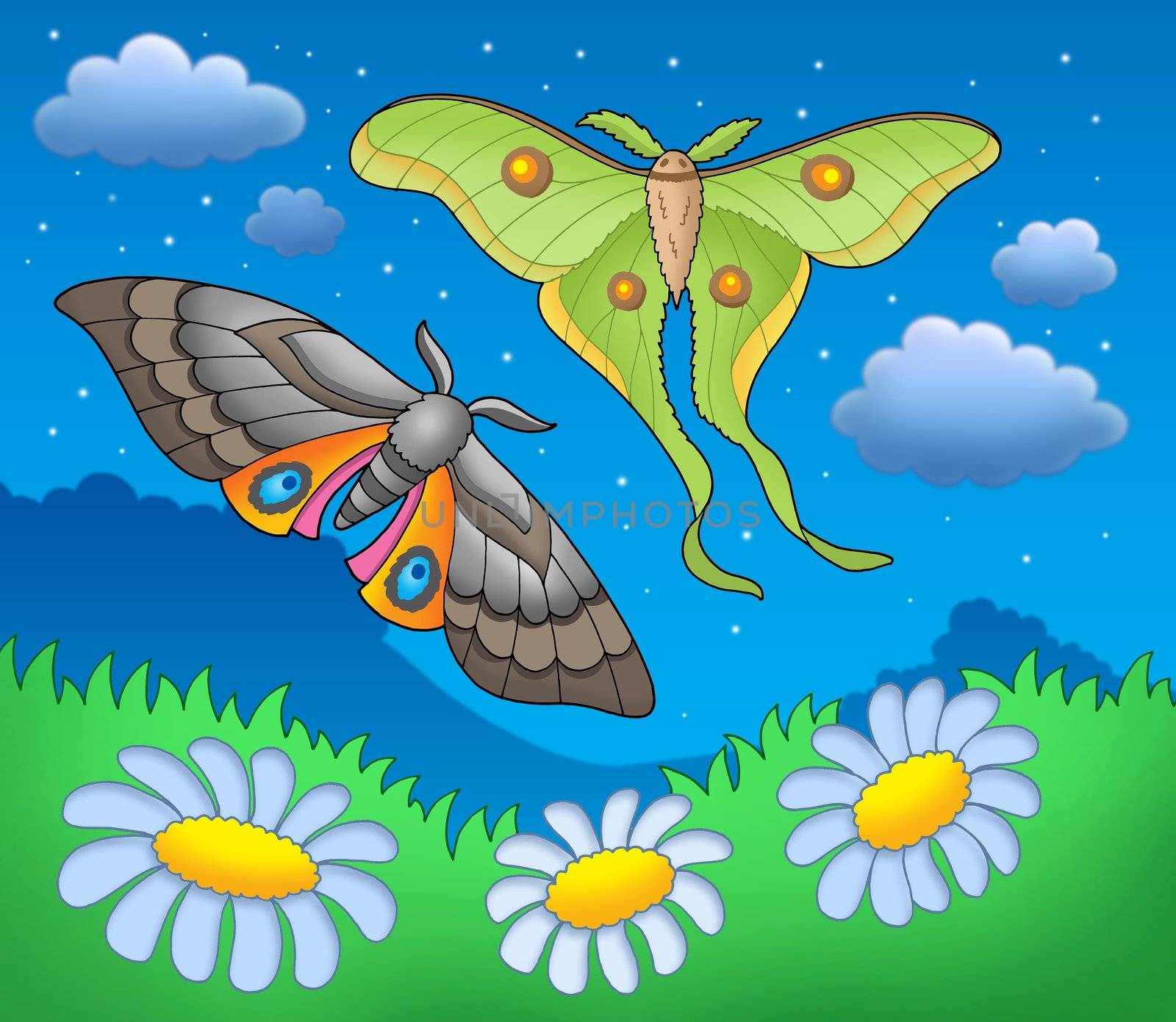 Night butterflies on meadow - color illustration.