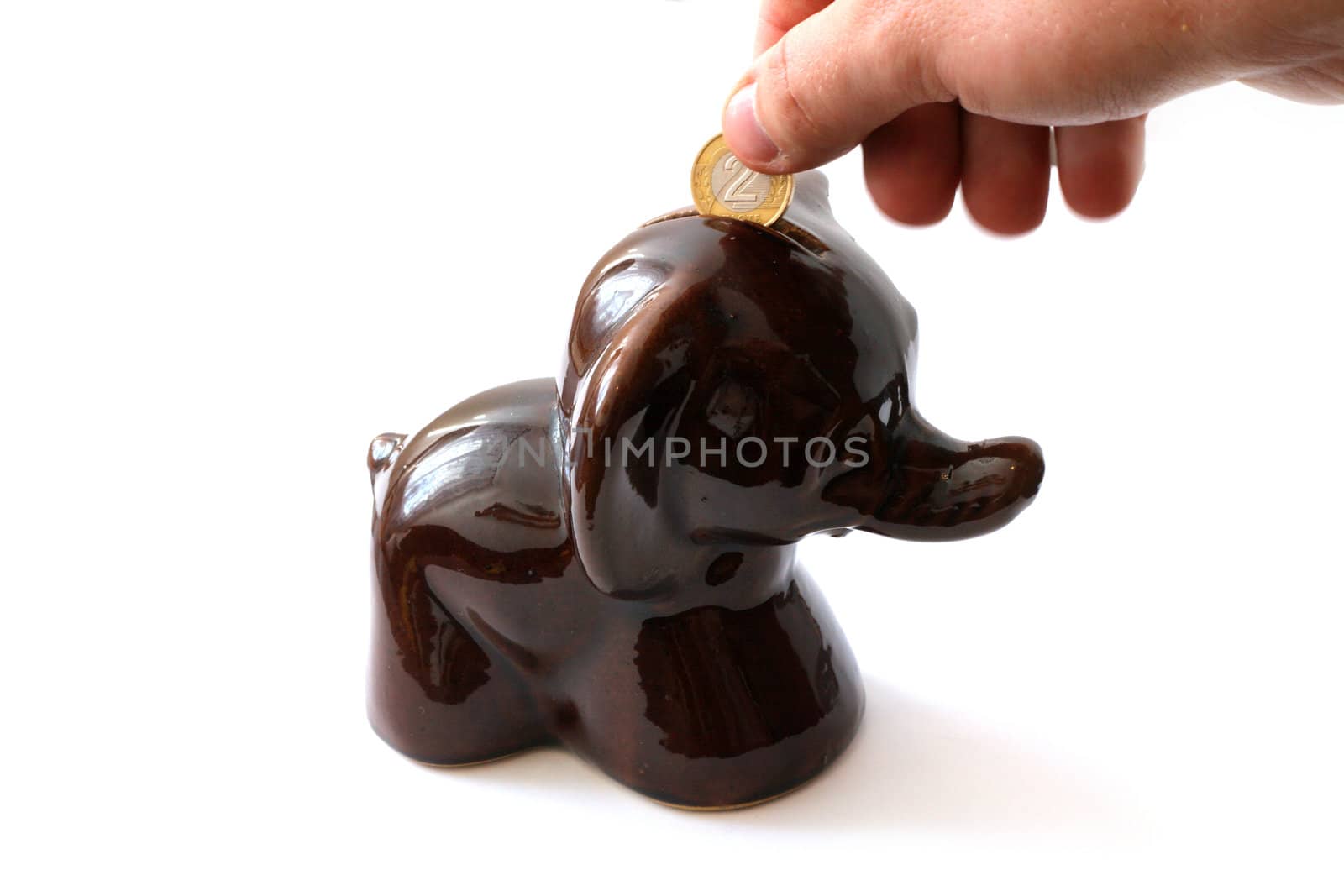 Putting the coin into a porcelain elephant money-box