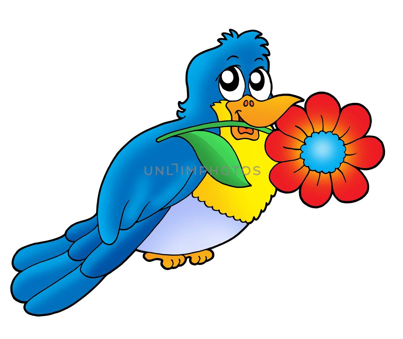 Blue bird with flower - color illustration.