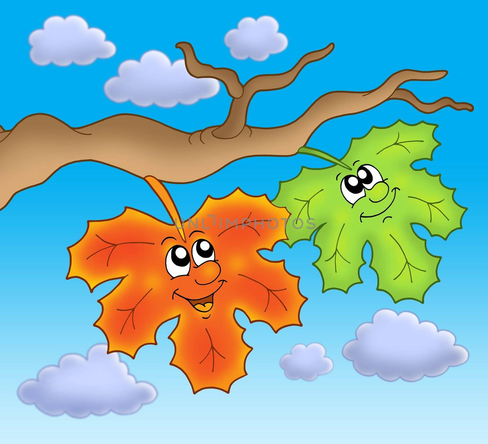 Pair of autumn leaves on blue sky - color illustration.