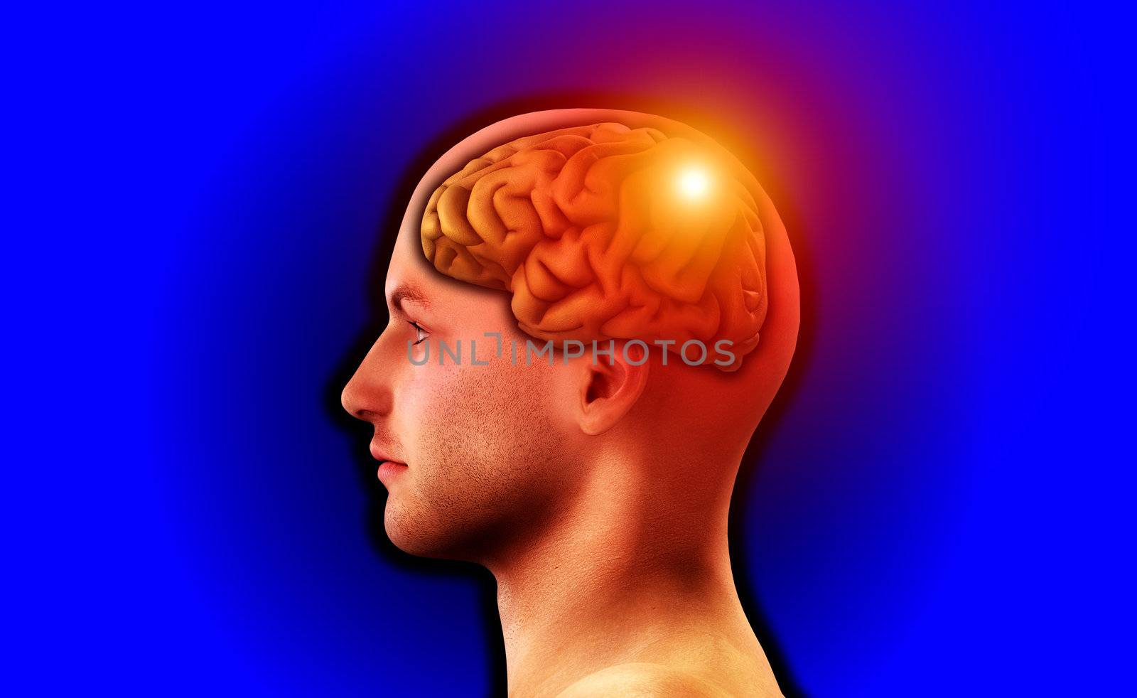 Profile Of Man With Brain by harveysart