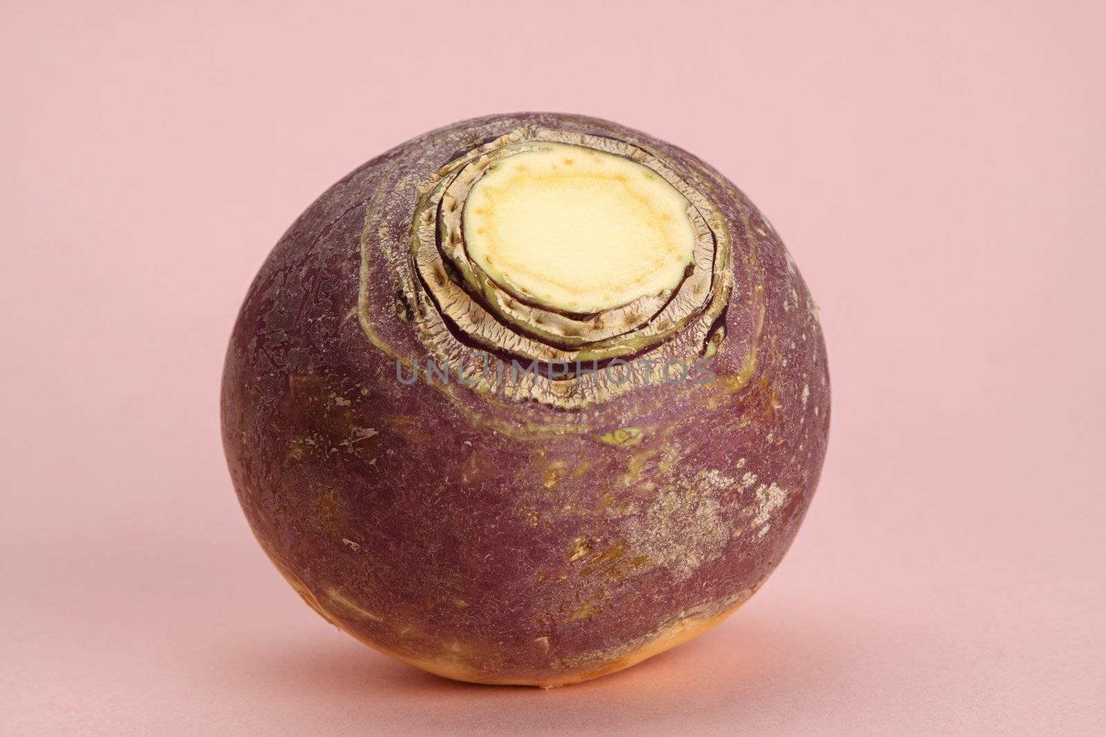 turnip by lanalanglois