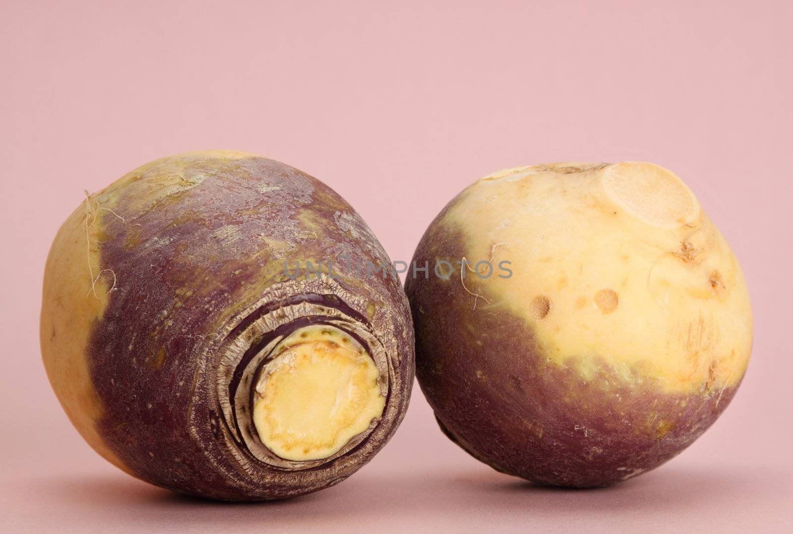 fresh whole raw turnip, pink background