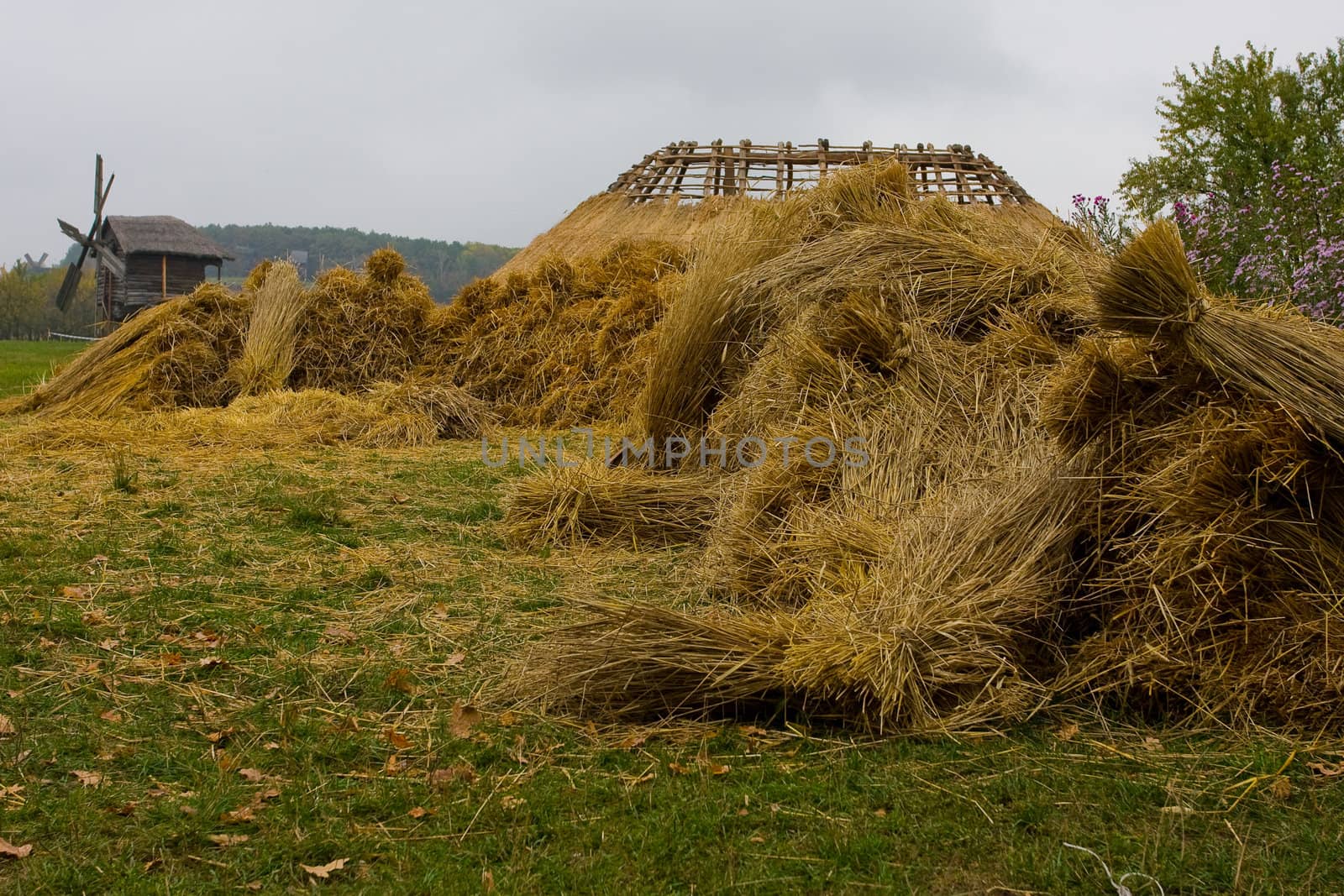 Haystack