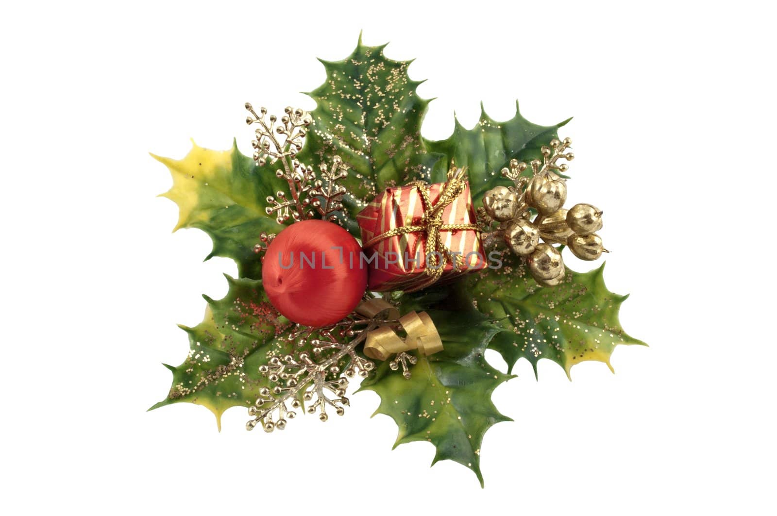 Holly decoration by rigamondis