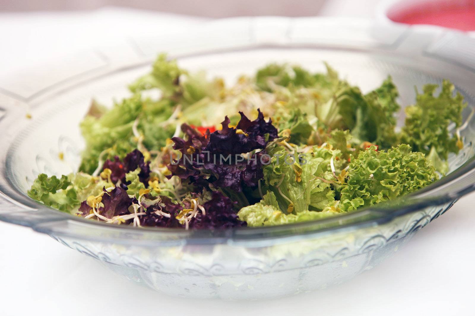 Fresh, mixed salad - Close-up