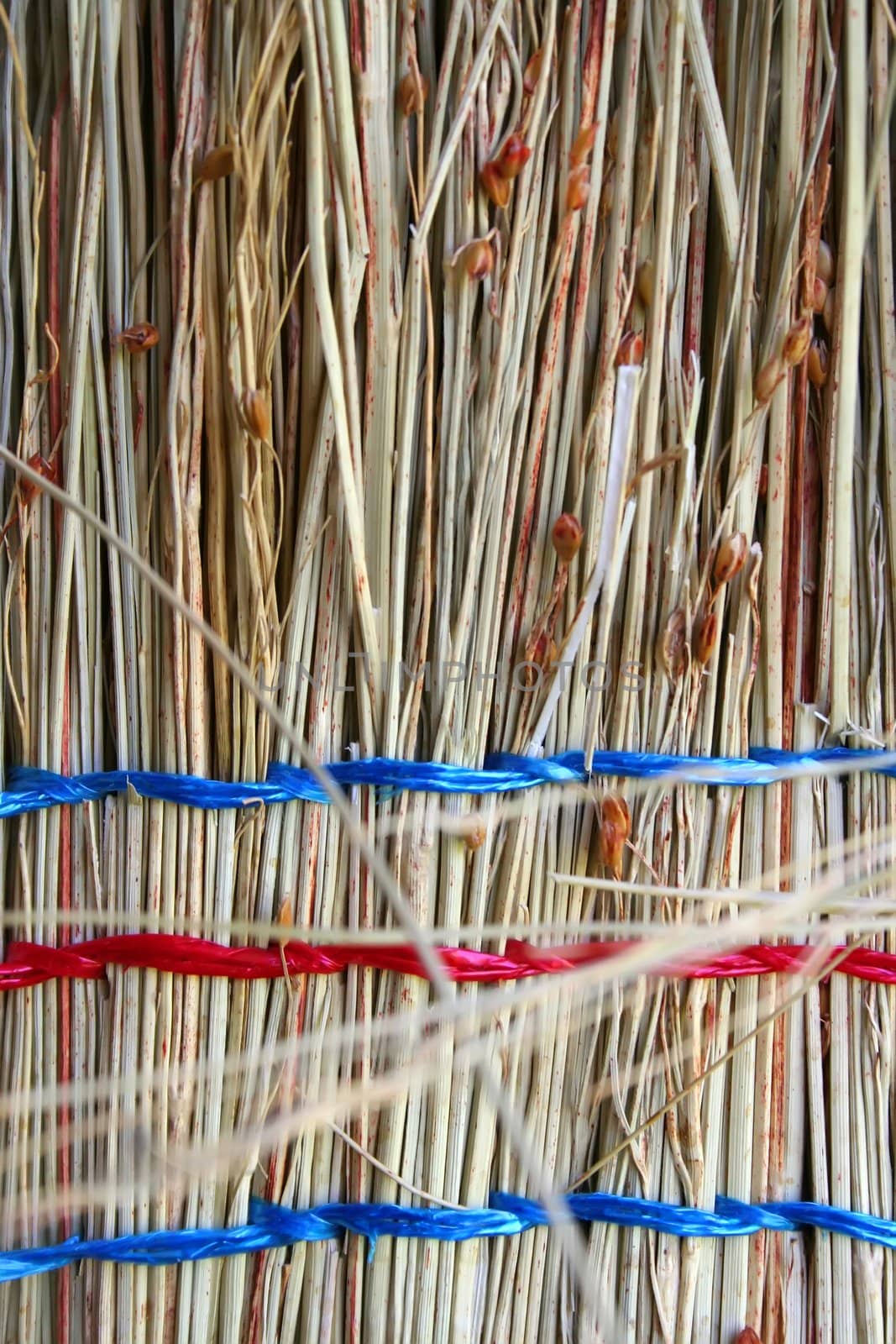 Bound Straw Closeup.