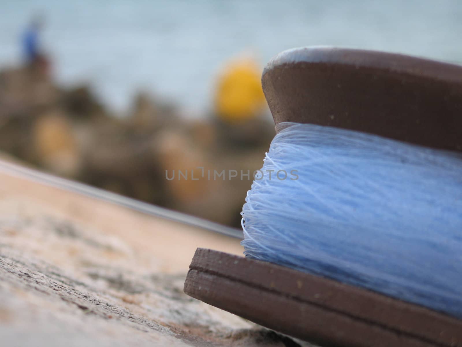 fishing line close-up