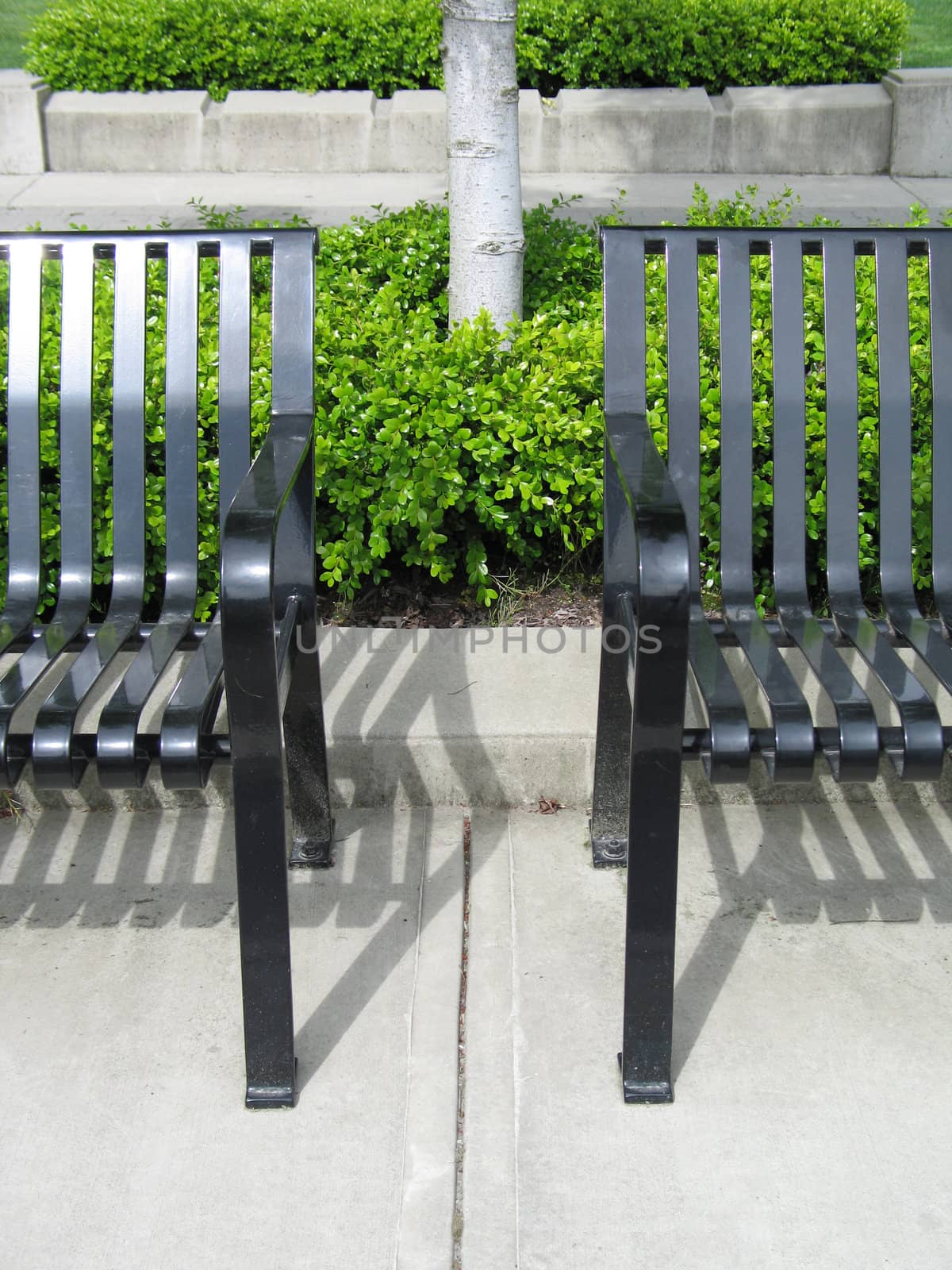 black park benches