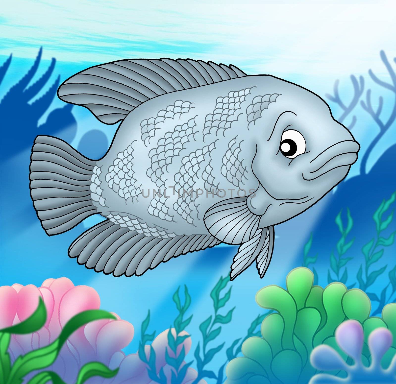Big Urama fish - color illustration.