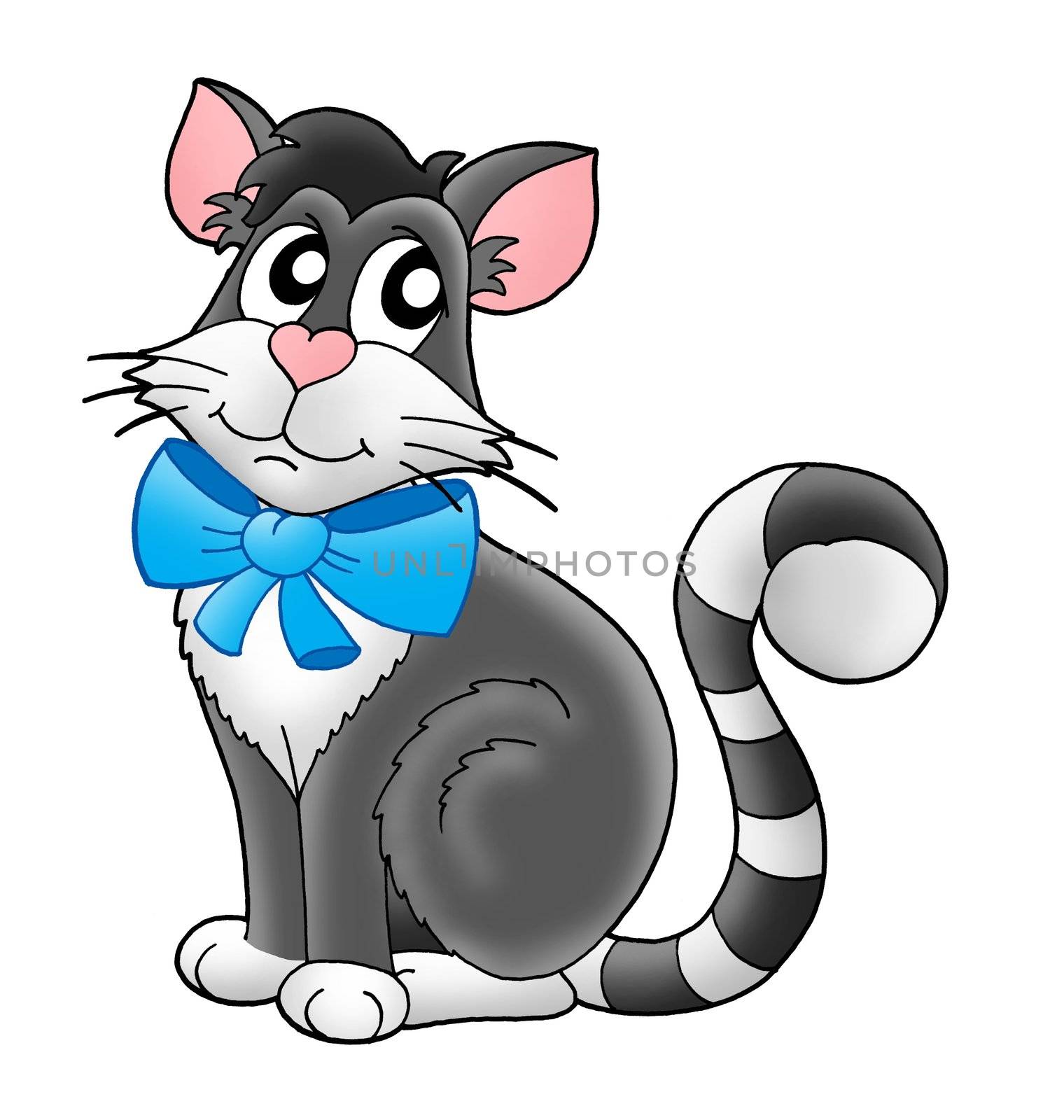 Color illustration of gray cat with blue ribbon.