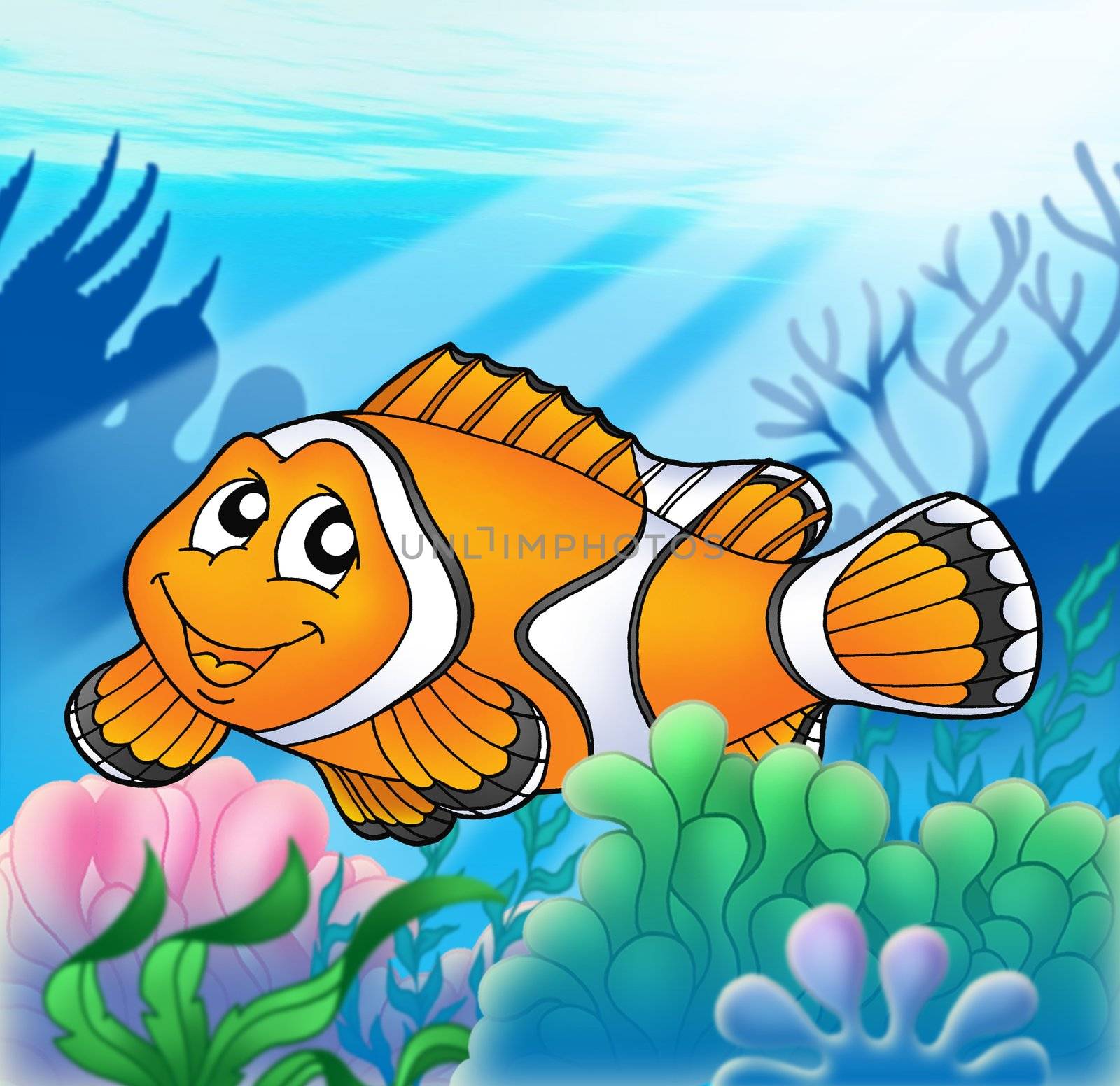 Clownfish with anemone - color illustration.