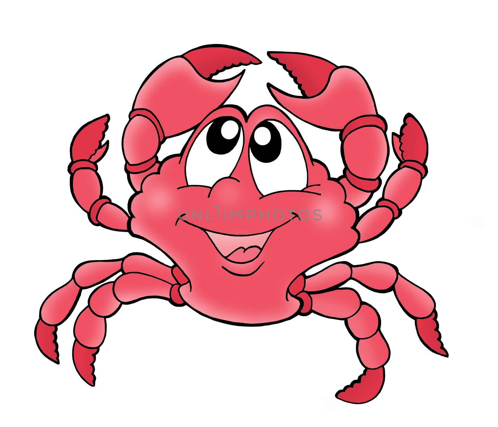 Cute red crab - color illustration.